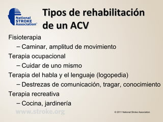 Tipos de rehabilitaciónTipos de rehabilitación
de un ACVde un ACV
Fisioterapia
– Caminar, amplitud de movimiento
Terapia ocupacional
– Cuidar de uno mismo
Terapia del habla y el lenguaje (logopedia)
– Destrezas de comunicación, tragar, conocimiento
Terapia recreativa
– Cocina, jardinería
© 2011 National Stroke Association
 