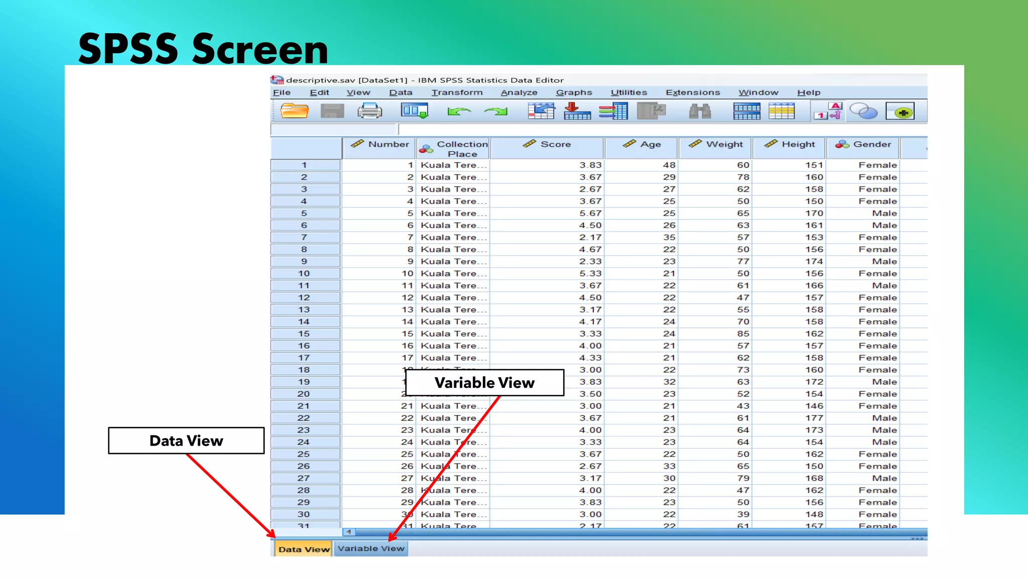 SPSS Screen
Data View
Variable View
 