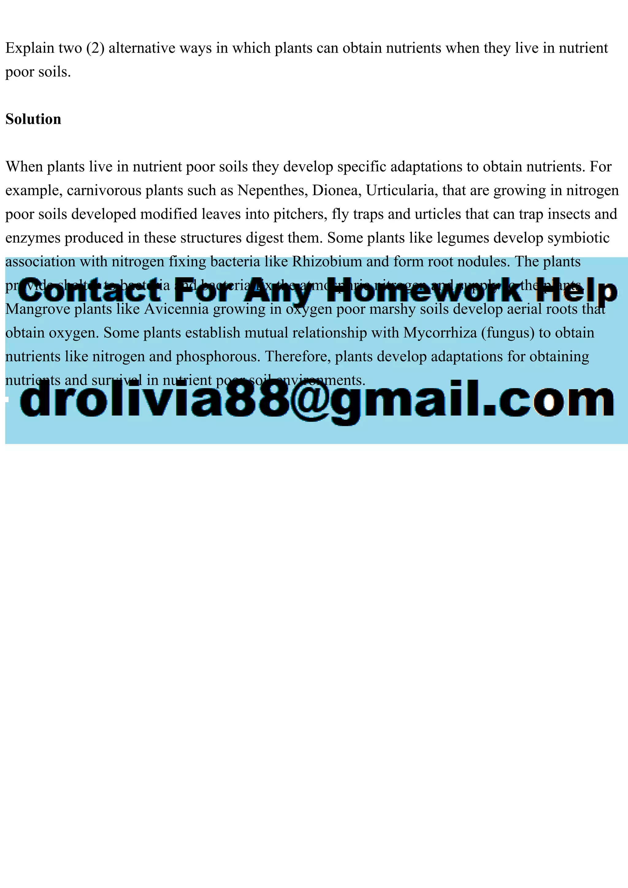 Explain two (2) alternative ways in which plants can obtain nutrients when they live in nutrient
poor soils.
Solution
When plants live in nutrient poor soils they develop specific adaptations to obtain nutrients. For
example, carnivorous plants such as Nepenthes, Dionea, Urticularia, that are growing in nitrogen
poor soils developed modified leaves into pitchers, fly traps and urticles that can trap insects and
enzymes produced in these structures digest them. Some plants like legumes develop symbiotic
association with nitrogen fixing bacteria like Rhizobium and form root nodules. The plants
provide shelter to bacteria and bacteria fix the atmosphric nitrogen and supply to the plants.
Mangrove plants like Avicennia growing in oxygen poor marshy soils develop aerial roots that
obtain oxygen. Some plants establish mutual relationship with Mycorrhiza (fungus) to obtain
nutrients like nitrogen and phosphorous. Therefore, plants develop adaptations for obtaining
nutrients and survival in nutrient poor soil environments.