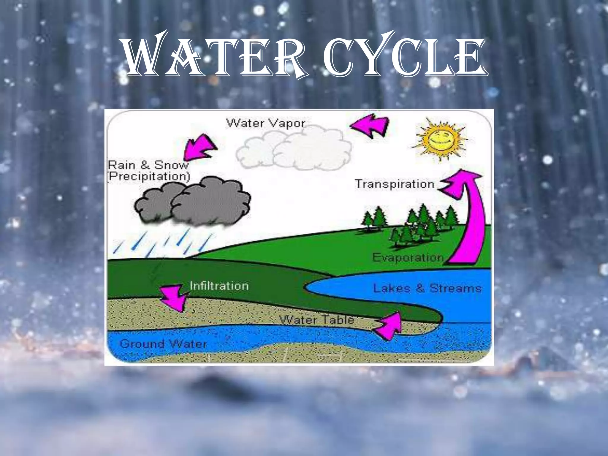 Water Cycle
 