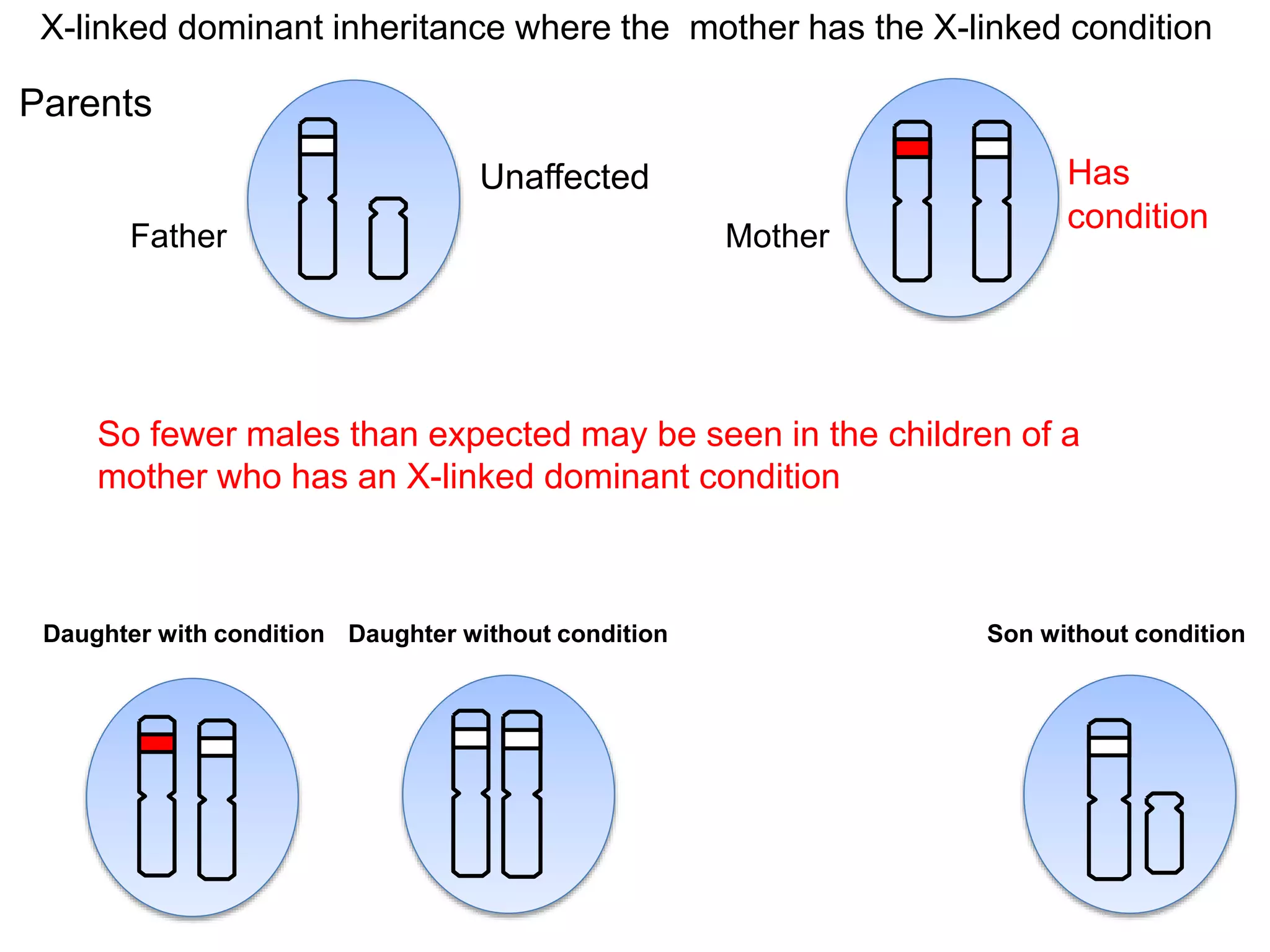 Parents Father Mother Daughter with condition Daughter without condition Son without condition Has condition Unaffected X-linked dominant inheritance where the mother has the X-linked condition So fewer males than expected may be seen in the children of a mother who has an X-linked dominant condition 
