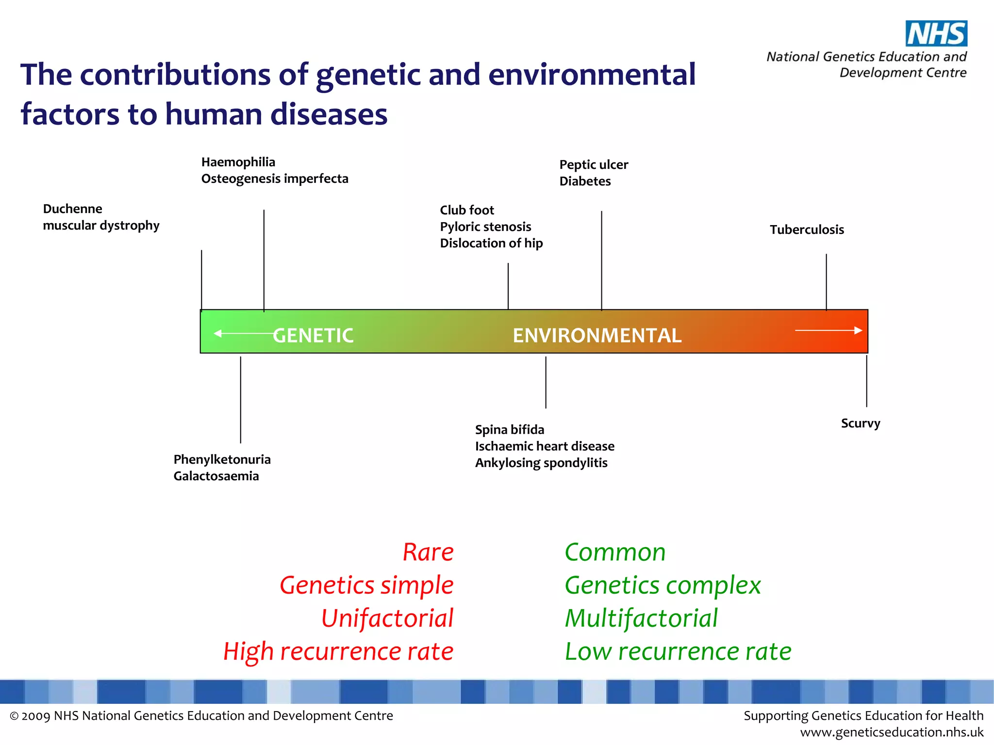 Explanation slides Multifactorial conditions | PPT | Genetics | Science