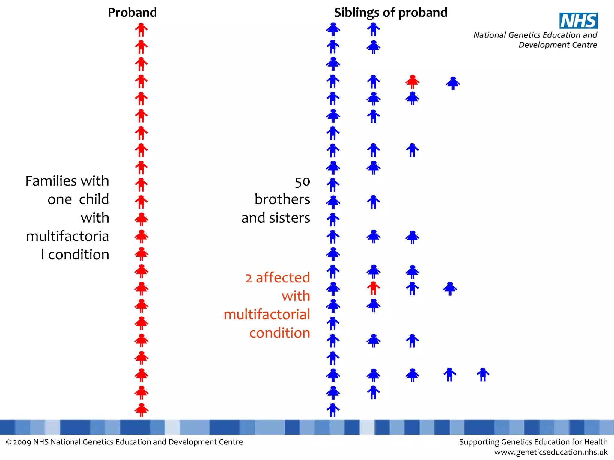 Explanation slides Multifactorial conditions | PPT | Genetics | Science
