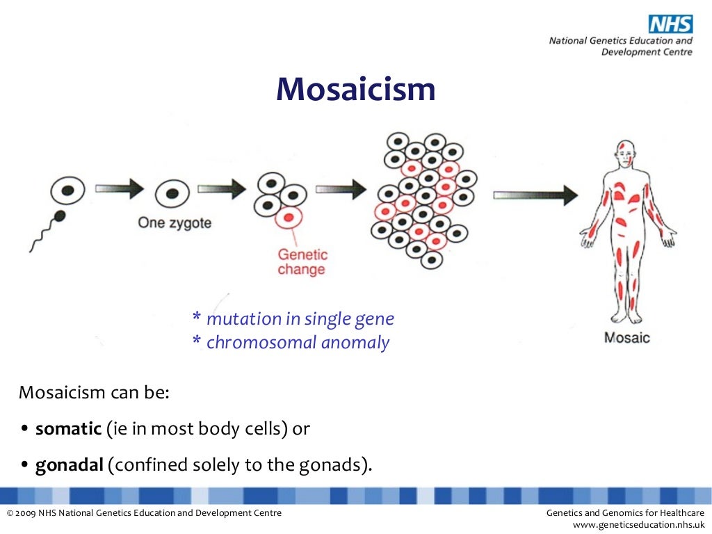 Explanation slides Somatic Mutations cancer