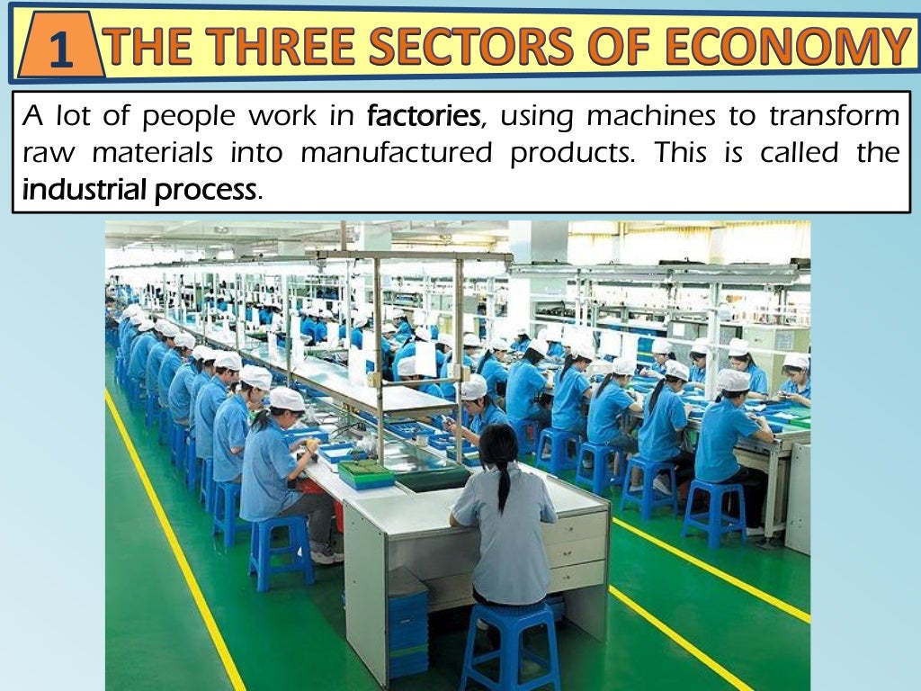 THE THREE SECTORS OF ECONOMY