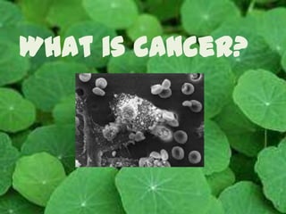 What is cancer? 