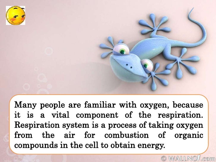 Explanation about why human need oxygen in their life by asri