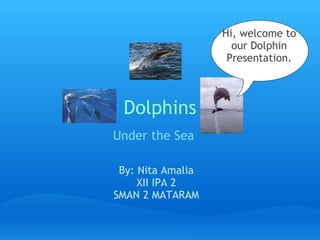 Dolphins   Under the Sea      By: Nita Amalia XII IPA 2 SMAN 2 MATARAM Hi, welcome to our Dolphin Presentation. 