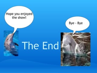 Hope you enjoyed
   the show!
                    Bye - Bye




         The End
 