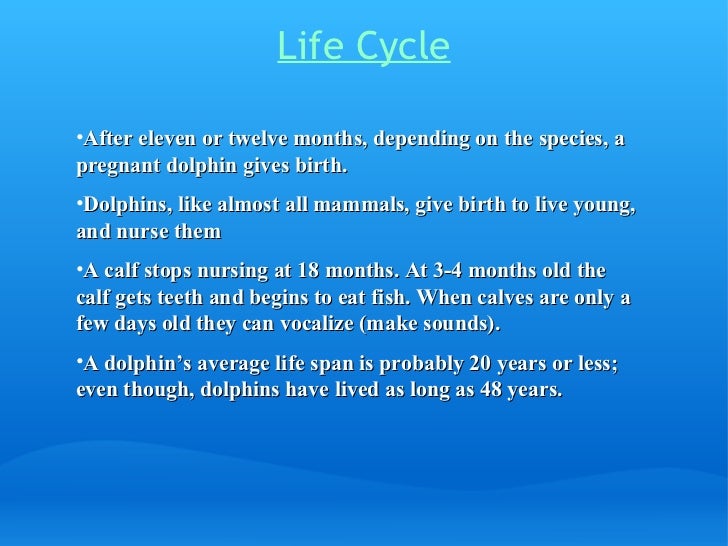 life