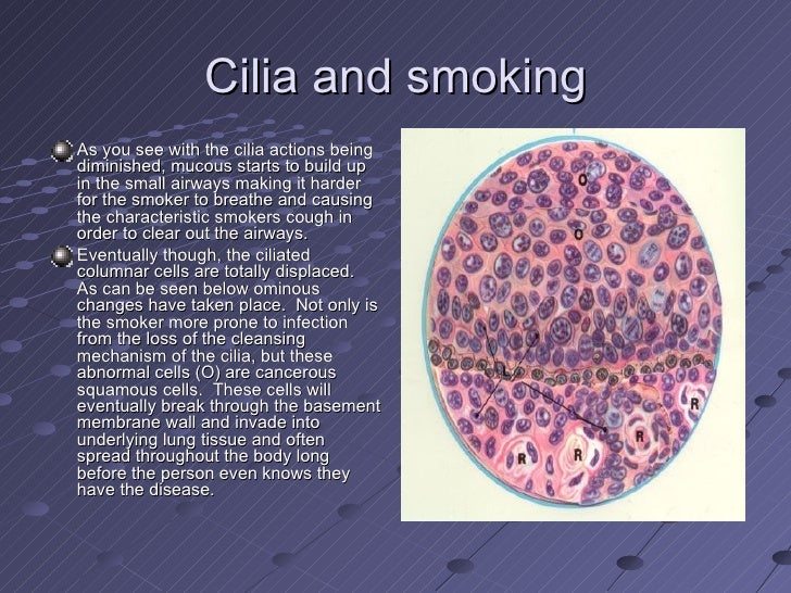 Explanation by santika ainiyati smoking