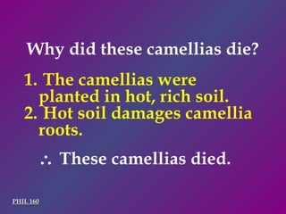 Why did these camellias die? PHIL 160 The camellias were planted in hot, rich soil. Hot soil damages camellia roots.    These camellias died. 