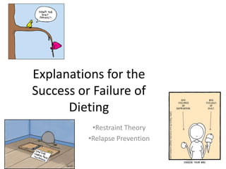 Explanations for the
Success or Failure of
      Dieting
           •Restraint Theory
          •Relapse Prevention
 