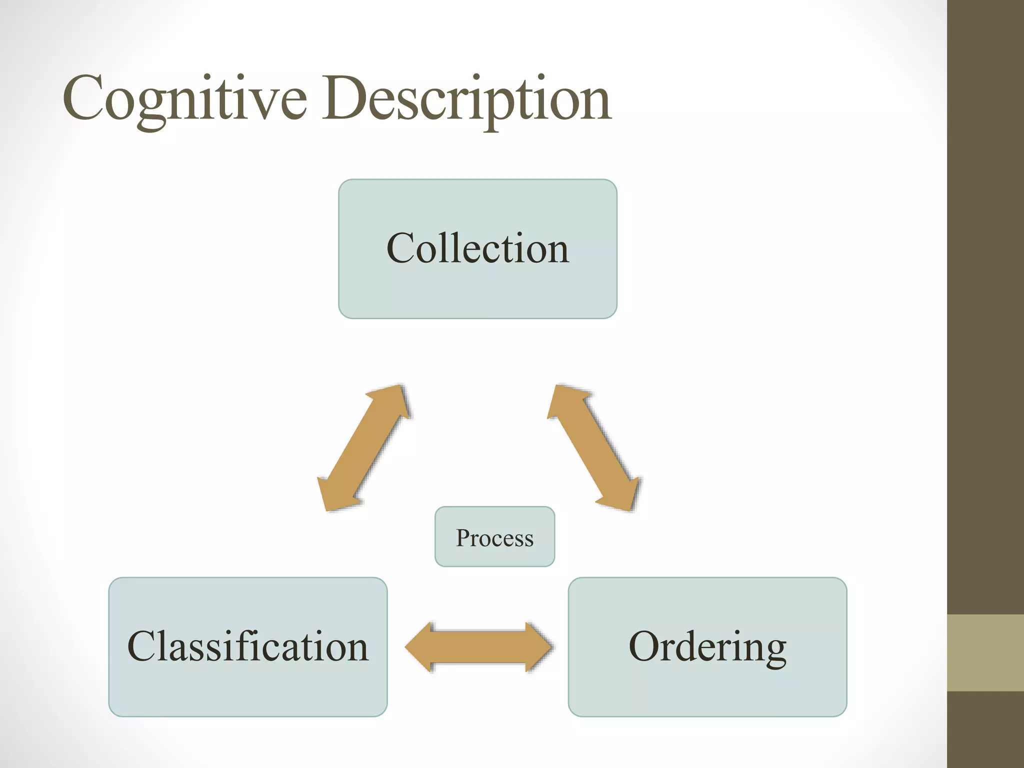 Cognitive Description
Collection
Ordering
Classification
Process
 