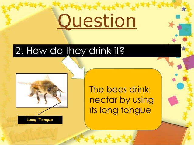 Image result for how do bees drink nectar
