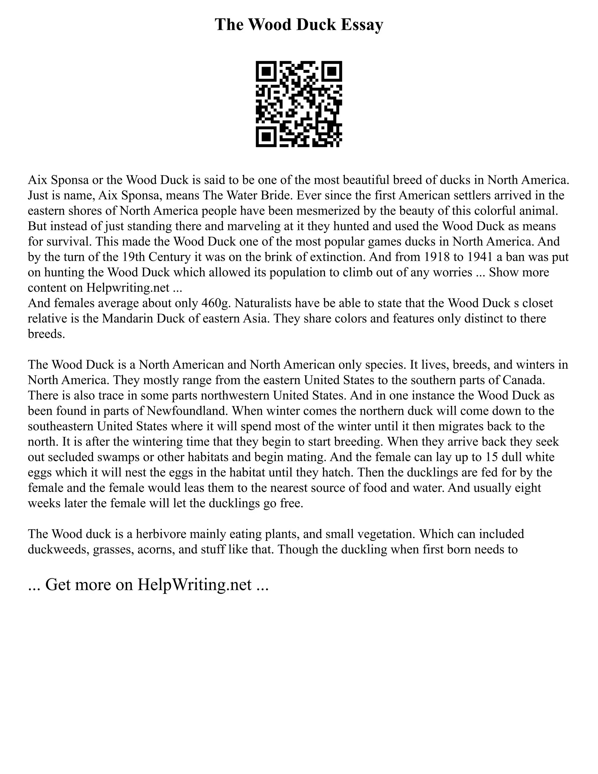 The Wood Duck Essay
Aix Sponsa or the Wood Duck is said to be one of the most beautiful breed of ducks in North America.
Just is name, Aix Sponsa, means The Water Bride. Ever since the first American settlers arrived in the
eastern shores of North America people have been mesmerized by the beauty of this colorful animal.
But instead of just standing there and marveling at it they hunted and used the Wood Duck as means
for survival. This made the Wood Duck one of the most popular games ducks in North America. And
by the turn of the 19th Century it was on the brink of extinction. And from 1918 to 1941 a ban was put
on hunting the Wood Duck which allowed its population to climb out of any worries ... Show more
content on Helpwriting.net ...
And females average about only 460g. Naturalists have be able to state that the Wood Duck s closet
relative is the Mandarin Duck of eastern Asia. They share colors and features only distinct to there
breeds.
The Wood Duck is a North American and North American only species. It lives, breeds, and winters in
North America. They mostly range from the eastern United States to the southern parts of Canada.
There is also trace in some parts northwestern United States. And in one instance the Wood Duck as
been found in parts of Newfoundland. When winter comes the northern duck will come down to the
southeastern United States where it will spend most of the winter until it then migrates back to the
north. It is after the wintering time that they begin to start breeding. When they arrive back they seek
out secluded swamps or other habitats and begin mating. And the female can lay up to 15 dull white
eggs which it will nest the eggs in the habitat until they hatch. Then the ducklings are fed for by the
female and the female would leas them to the nearest source of food and water. And usually eight
weeks later the female will let the ducklings go free.
The Wood duck is a herbivore mainly eating plants, and small vegetation. Which can included
duckweeds, grasses, acorns, and stuff like that. Though the duckling when first born needs to
... Get more on HelpWriting.net ...
 