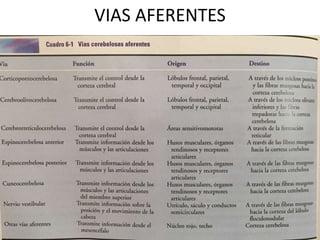 VIAS AFERENTES
 