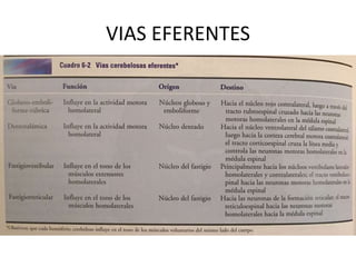 VIAS EFERENTES
 