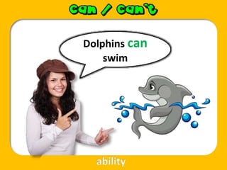Dolphins can
swim
ability
 