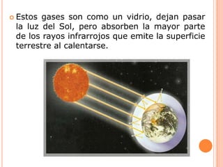 Estos gases son como un vidrio, dejan pasar la luz del Sol, pero absorben la mayor parte de los rayos infrarrojos que emite la superficie terrestre al calentarse.