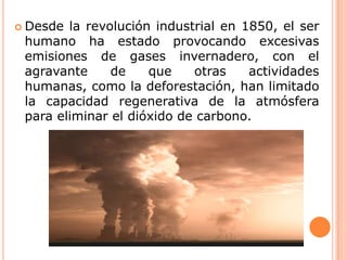 Desde la revolución industrial en 1850, el ser humano ha estado provocando excesivas emisiones de gases invernadero, con el agravante de que otras actividades humanas, como la deforestación, han limitado la capacidad regenerativa de la atmósfera para eliminar el dióxido de carbono.
