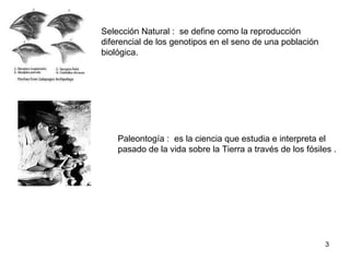 Selección Natural : se define como la reproducción diferencial de los genotipos en el seno de una población biológica. Paleontogía : es la ciencia que estudia e interpreta el pasado de la vida sobre la Tierra a través de los fósiles .