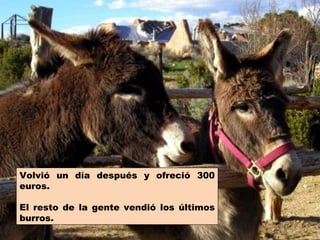 Volvió un día después y ofreció 300 euros. El resto de la gente vendió los últimos burros. 