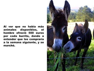 Al ver que no había más animales disponibles, el hombre ofreció 500 euros por cada burrito, dando a entender que los compraría a la semana siguiente, y se marchó. 