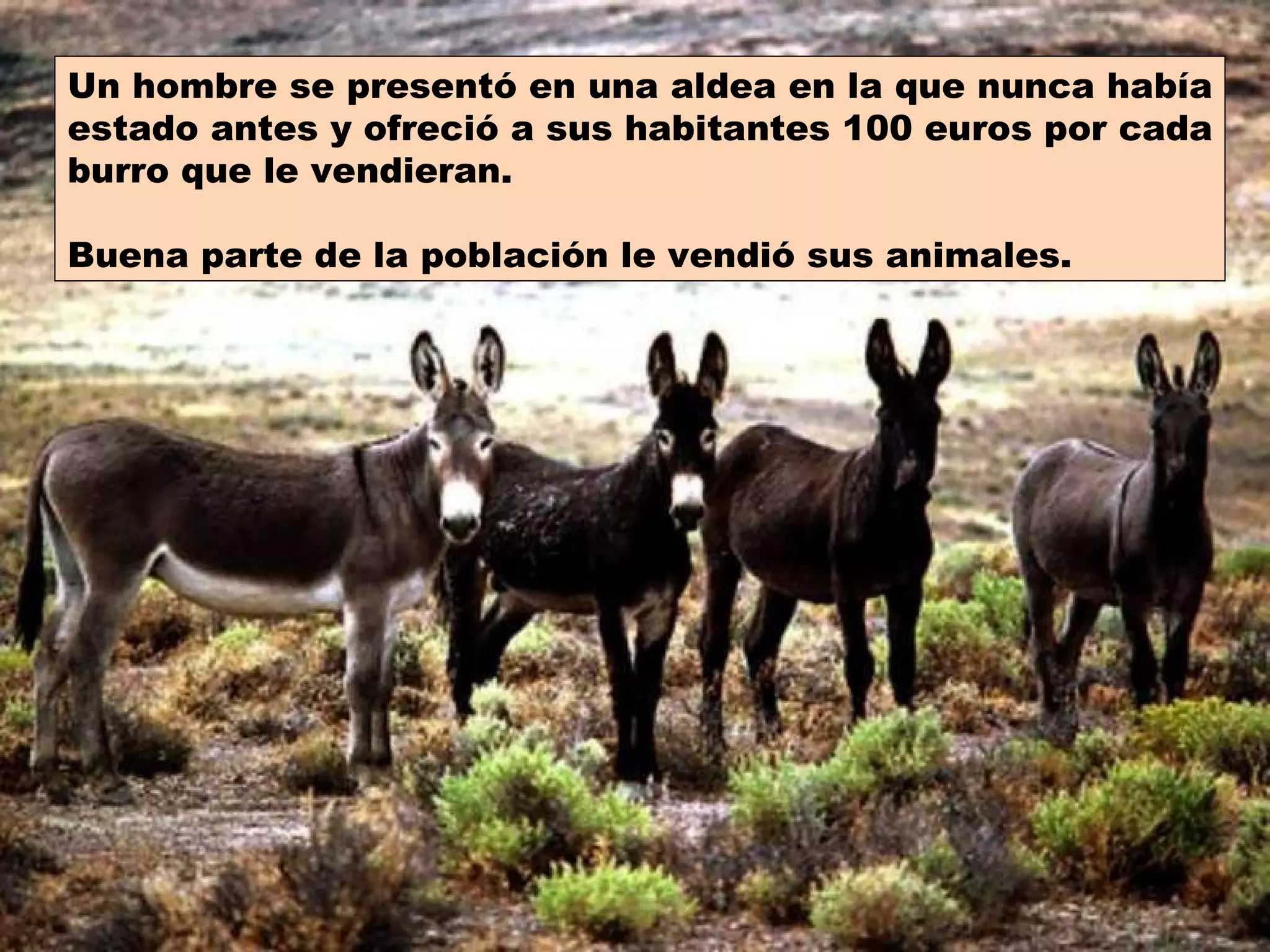 Un hombre se presentó en una aldea en la que nunca había estado antes y ofreció a sus habitantes 100 euros por cada burro que le vendieran. Buena parte de la población le vendió sus animales. 