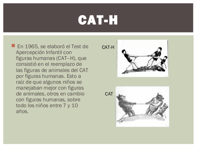 Explicación en orden (laminas C.A.T-h)
