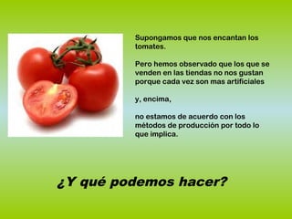 Supongamos que nos encantan los
tomates.
Pero hemos observado que los que se
venden en las tiendas no nos gustan
porque cada vez son mas artificiales
y, encima,
no estamos de acuerdo con los
métodos de producción por todo lo
que implica.
¿Y qué podemos hacer?
 
