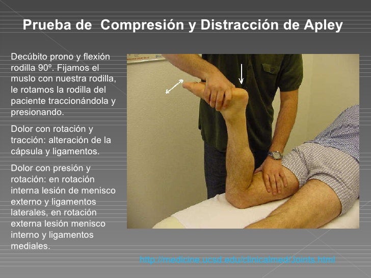 Explicacion Sist. Musc. Esqueletico