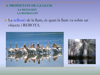 4. PROPIETATS DE LA LLUM
LA REFLEXIÓ
LA REFRACCIÓ
 La reflexió de la llum, és quan la llum va sobre un
objecte i REBOTA.
 