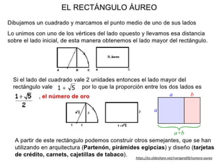 https://es.slideshare.net/rvergara09/numero-aureo
 