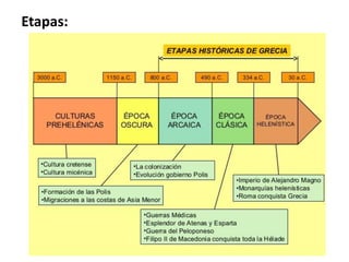 Etapas:
 