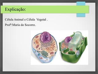 Explicação:
Célula Animal e Célula Vegetal .
Profª:Maria do Socorro.

 