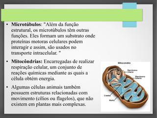 ●

●

●

Microtúbulos: "Além da função
estrutural, os microtúbulos têm outras
funções. Eles formam um substrato onde
proteínas motoras celulares podem
interagir e assim, são usados no
transporte intracelular. "
Mitocôndrias: Encarregadas de realizar
respiração celular, um conjunto de
reações químicas mediante as quais a
célula obtém energia.
Algumas células animais também
possuem estruturas relacionadas com
movimento (cílios ou flagelos), que não
existem em plantas mais complexas.

 