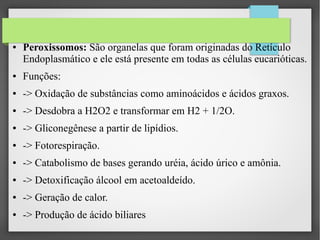 ●

Peroxissomos: São organelas que foram originadas do Retículo
Endoplasmático e ele está presente em todas as células eucarióticas.

●

Funções:

●

-> Oxidação de substâncias como aminoácidos e ácidos graxos.

●

-> Desdobra a H2O2 e transformar em H2 + 1/2O.

●

-> Gliconegênese a partir de lipídios.

●

-> Fotorespiração.

●

-> Catabolismo de bases gerando uréia, ácido úrico e amônia.

●

-> Detoxificação álcool em acetoaldeído.

●

-> Geração de calor.

●

-> Produção de ácido biliares

 