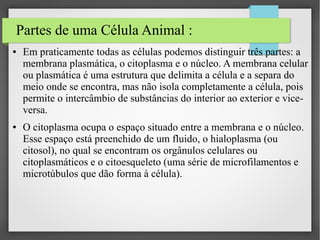 Partes de uma Célula Animal :
●

●

Em praticamente todas as células podemos distinguir três partes: a
membrana plasmática, o citoplasma e o núcleo. A membrana celular
ou plasmática é uma estrutura que delimita a célula e a separa do
meio onde se encontra, mas não isola completamente a célula, pois
permite o intercâmbio de substâncias do interior ao exterior e viceversa.
O citoplasma ocupa o espaço situado entre a membrana e o núcleo.
Esse espaço está preenchido de um fluido, o hialoplasma (ou
citosol), no qual se encontram os orgânulos celulares ou
citoplasmáticos e o citoesqueleto (uma série de microfilamentos e
microtúbulos que dão forma à célula).

 