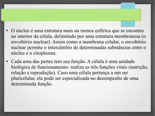 ●

●

O núcleo é uma estrutura mais ou menos esférica que se encontra
no interior da célula, delimitado por uma estrutura membranosa (o
envoltório nuclear). Assim como a membrana celular, o envoltório
nuclear permite o intercâmbio de determinadas substâncias entre o
núcleo e o citoplasma.
Cada uma das partes tem sua função. A célula é uma unidade
biológica de funcionamento: realiza as três funções vitais (nutrição,
relação e reprodução). Caso uma célula pertença a um ser
pluricelular, ela pode ser especializada no desempenho de uma
determinada função.

 