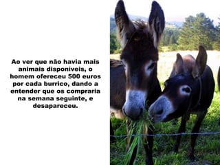 Ao ver que não havia mais animais disponíveis, o homem ofereceu 500 euros por cada burrico, dando a entender que os compraria na semana seguinte, e desapareceu. 