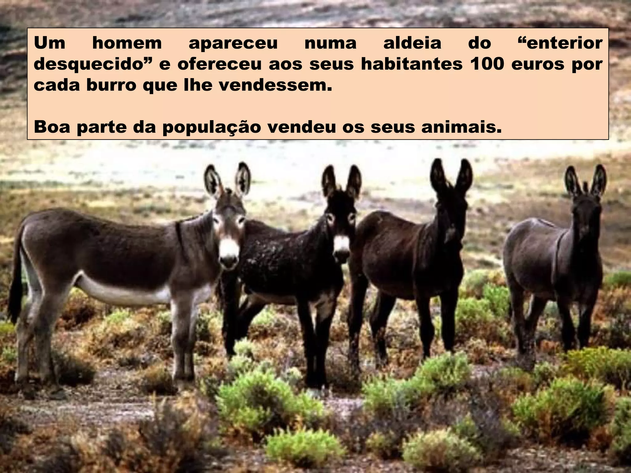 Um homem apareceu numa aldeia do “enterior desquecido” e ofereceu aos seus habitantes 100 euros por cada burro que lhe vendessem. Boa parte da população vendeu os seus animais. 