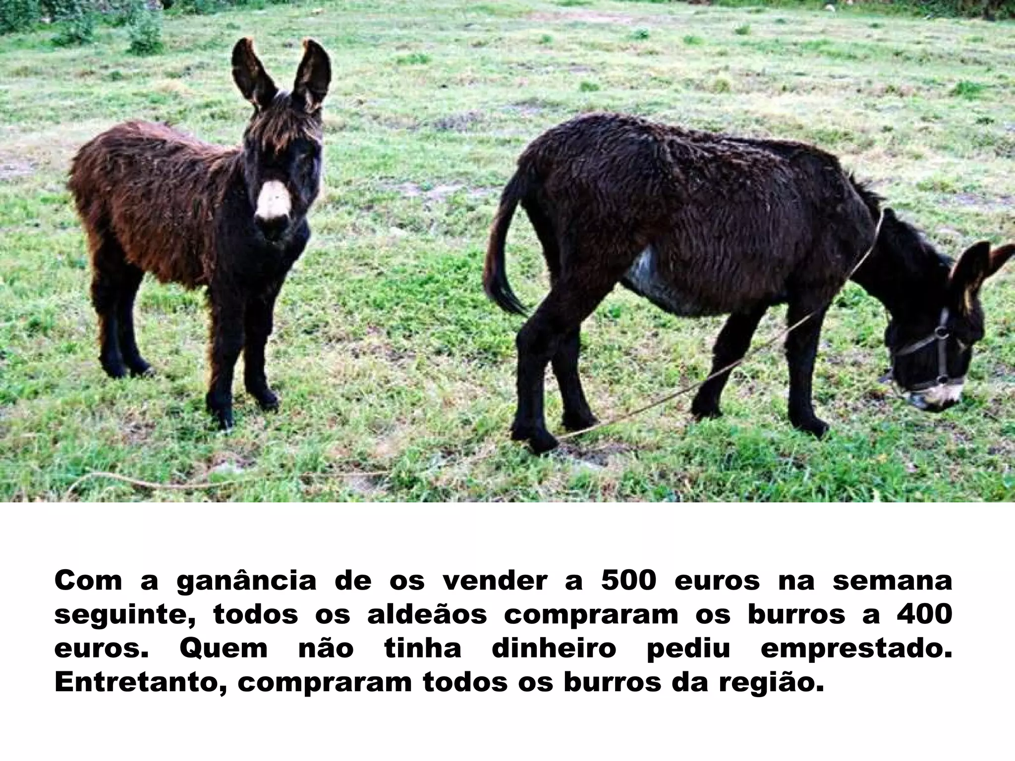 Com a ganância de os vender a 500 euros na semana seguinte, todos os aldeãos compraram os burros a 400 euros. Quem não tinha dinheiro pediu emprestado. Entretanto, compraram todos os burros da região. 