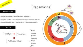 [Rapamicina]
Transplantes
Inibição da ativação e proliferação dos linfócitos T.
Pacientes sujeitos a uma terapia com imunossupressores têm uma
probabilidade 10 – 100 × superior de vir a desenvolver cancro.
Cancro
Mama
Próstata
Pulmões
Melanoma
Bexiga
Cérebro
Rins
Autofagia Transcrição
Proliferação Celular
 