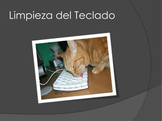 Limpieza del Teclado