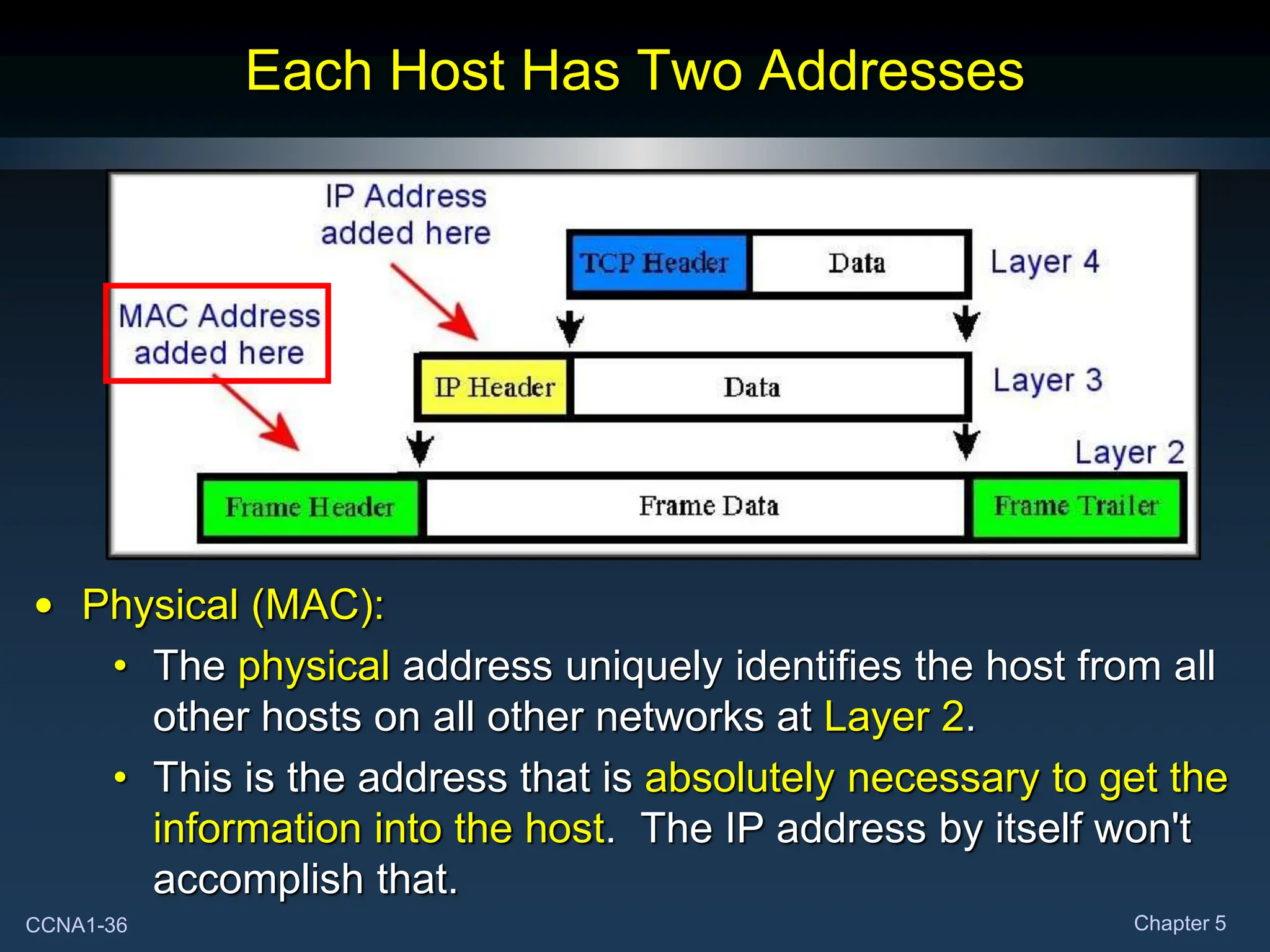 The network layer of the OSI model. Its functionality and protocols | PPT
