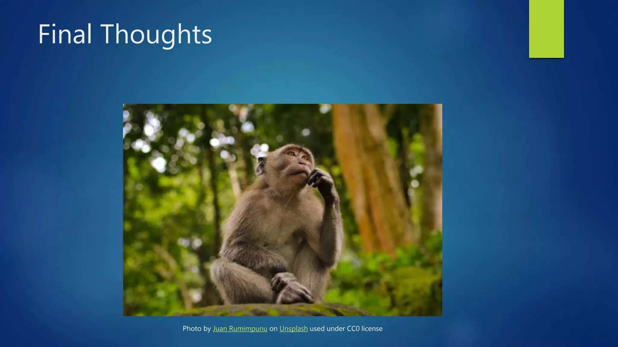 Final Thoughts
Photo by Juan Rumimpunu on Unsplash used under CC0 license
 