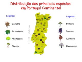 Distribuição das principais espécies
em Portugal Continental
Legenda: Legenda:
Carvalho
Amendoeira
Alfarrobeira
Figueira
Pinheiro
Sobreiro
Azinheira
Castanheiro
 