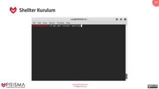www.prismacsi.com
© All Rights Reserved.
61
Shellter Kurulum
 