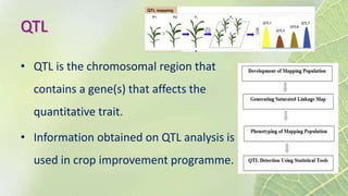 QTL
• QTL is the chromosomal region that
contains a gene(s) that affects the
quantitative trait.
• Information obtained on QTL analysis is
used in crop improvement programme.
 